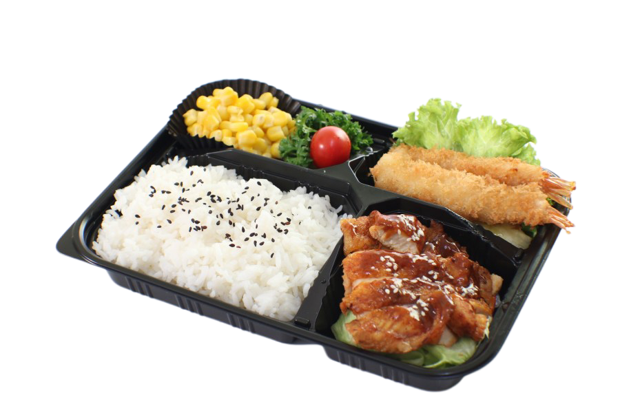 s4 teriyaki chicken